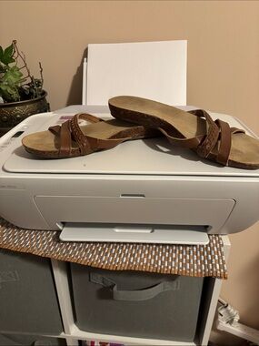 Dr. Scholl's Brown Women's Slide Sandals